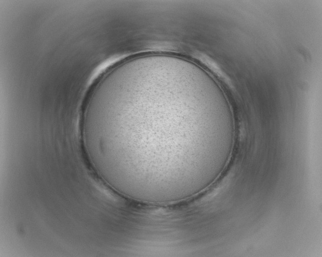 X0000115601222200911241548