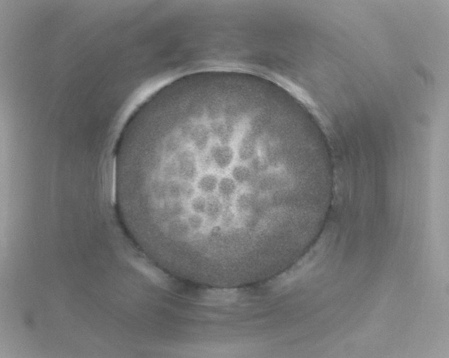 X0000115601223200911241548