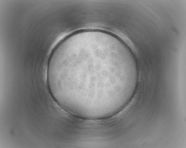 X0000115601224200911241548