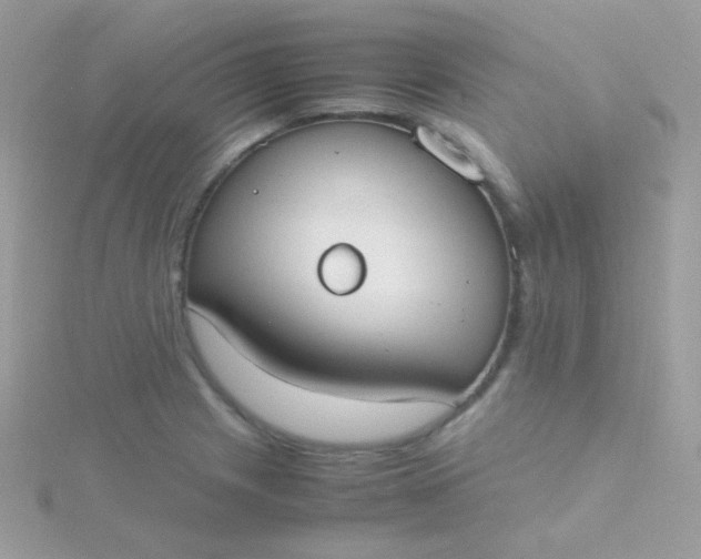 X0000115601225200911241548