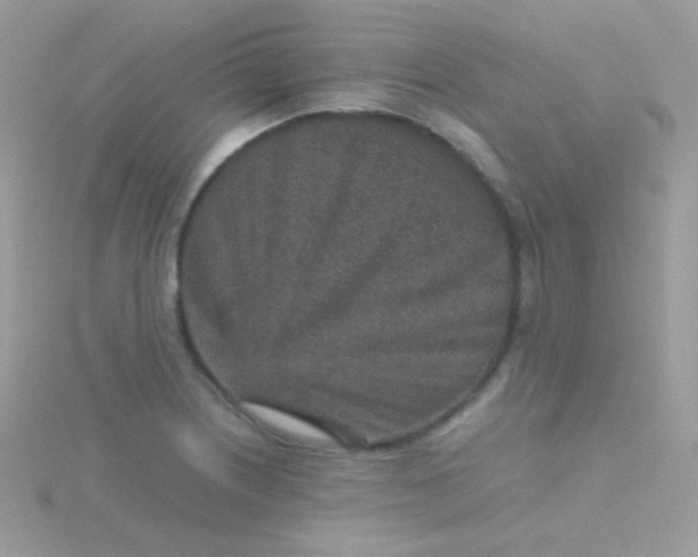 X0000115601226200911241548