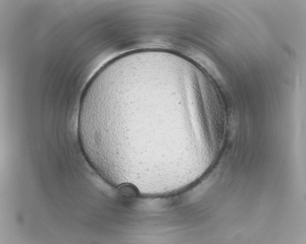 X0000115601228200911241548