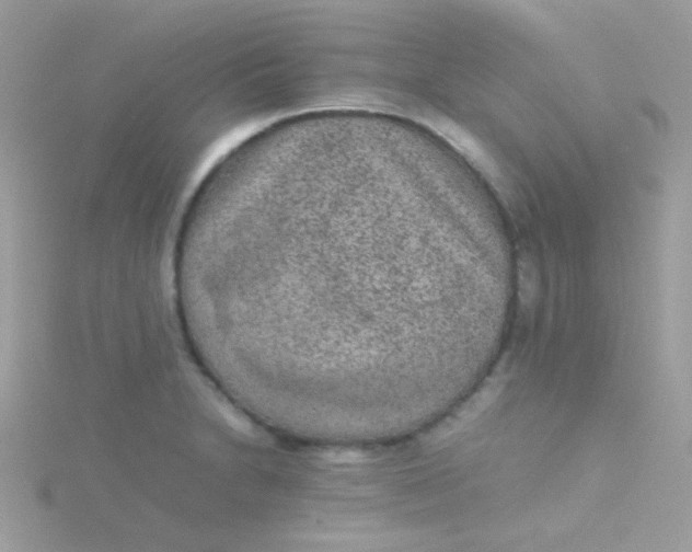 X0000115601230200911241548