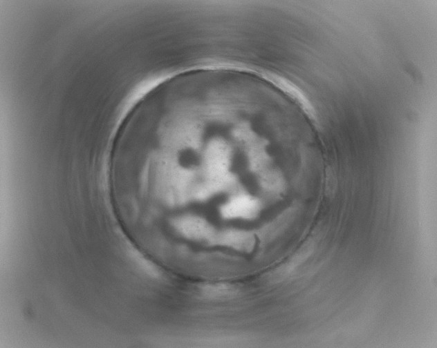 X0000115601231200911241548