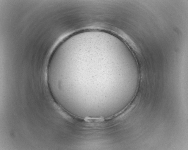 X0000115601232200911241548