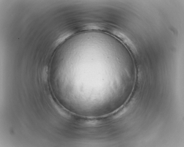 X0000115601233200911241548