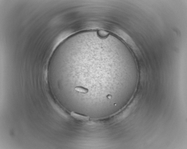 X0000115601234200911241548