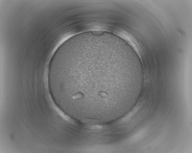 X0000115601235200911241548