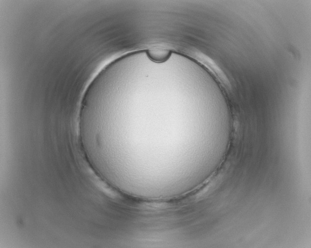 X0000115601236200911241548