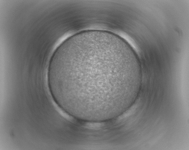 X0000115601237200911241548