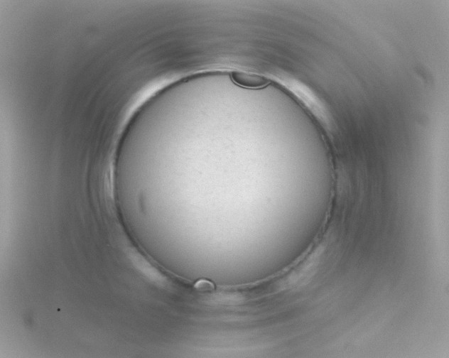 X0000115601238200911241548