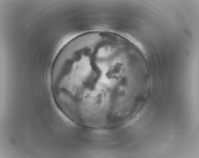 X0000115601239200911241548