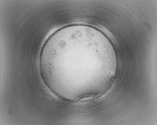 X0000115601240200911241548