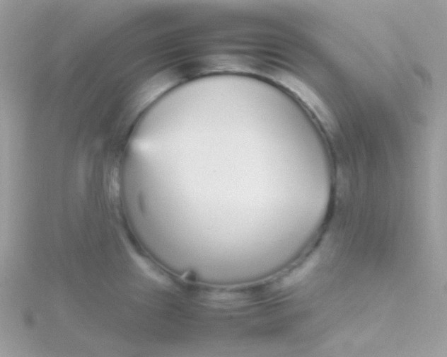 X0000115601241200911241548