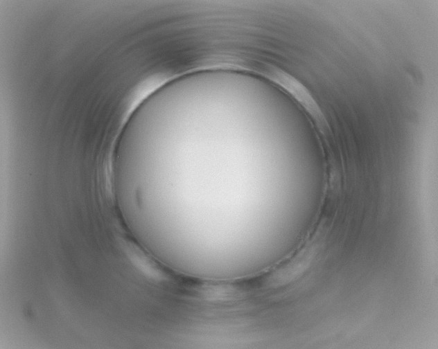 X0000115601242200911241548