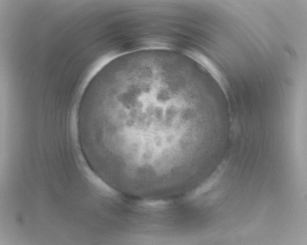 X0000115601243200911241548