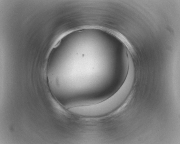 X0000115601244200911241548