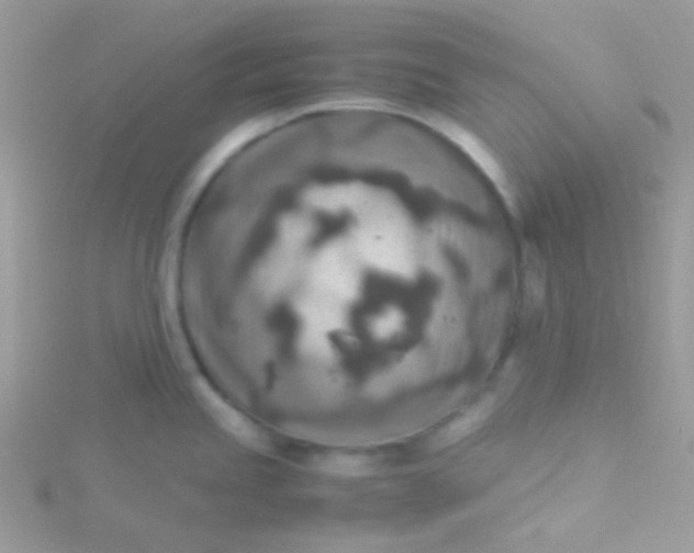 X0000115601245200911241548