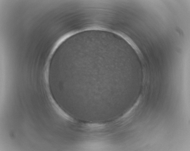 X0000115601246200911241548