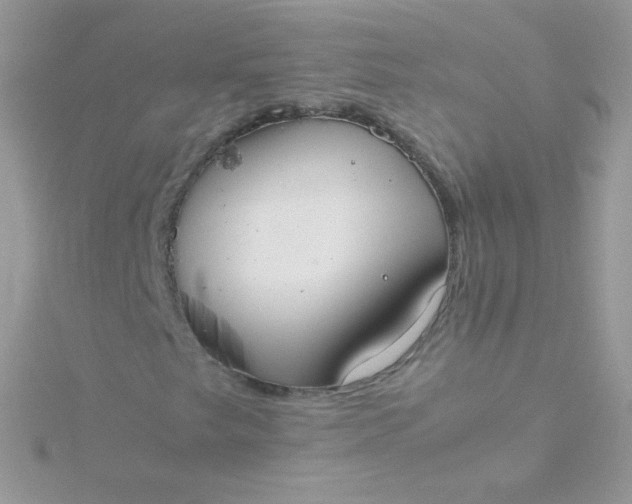 X0000115601249200911241548