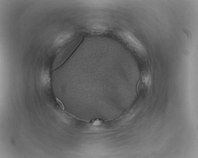 X0000115601252200911241548