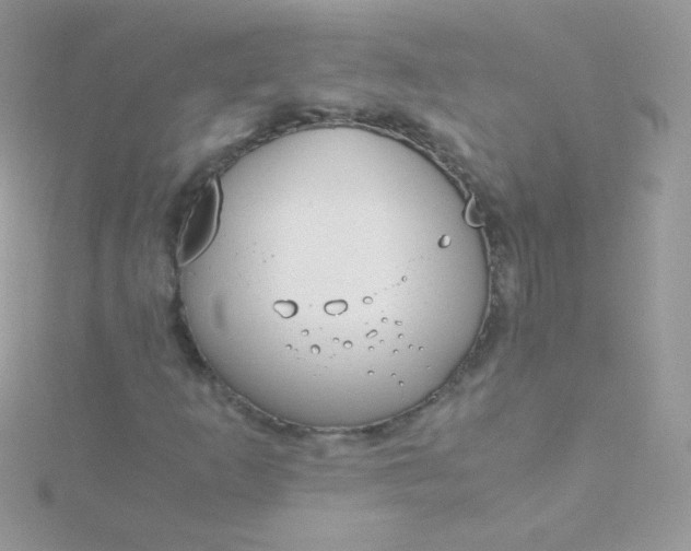 X0000115601253200911241548