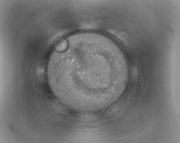 X0000115601254200911241548