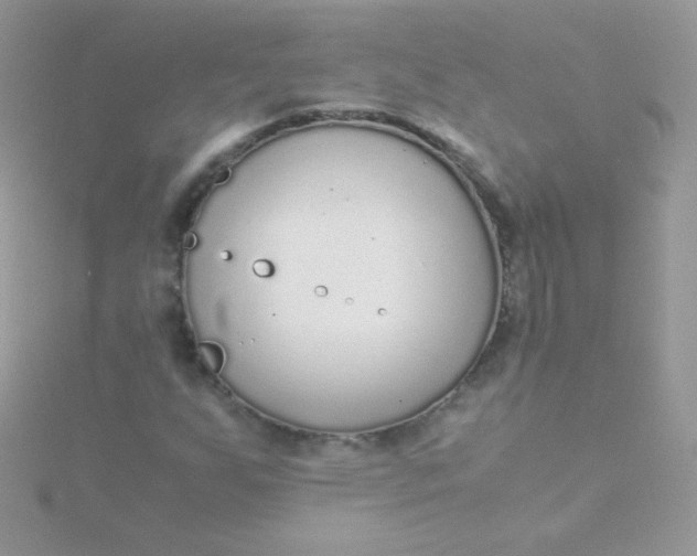 X0000115601255200911241548