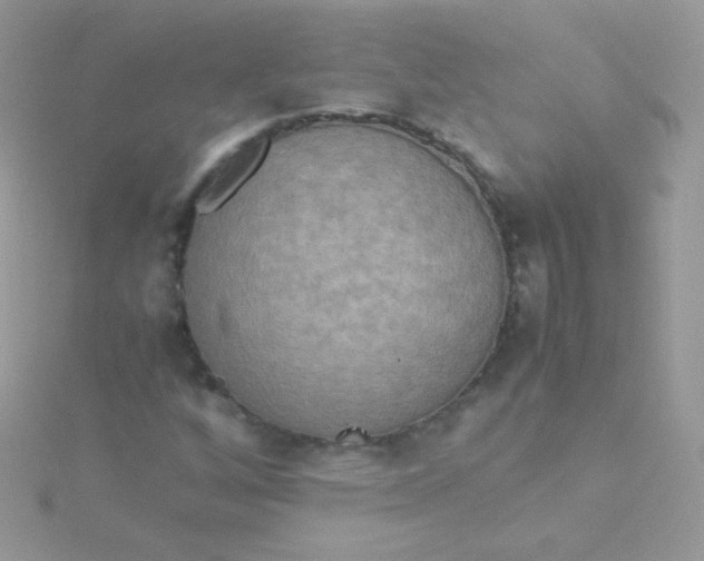 X0000115601256200911241548