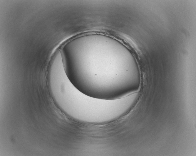 X0000115601260200911241548