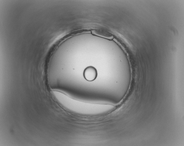 X0000115601261200911241548