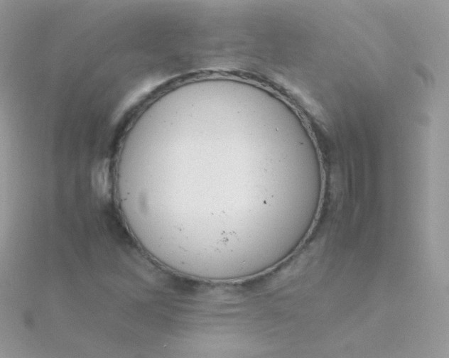 X0000115601262200911241548