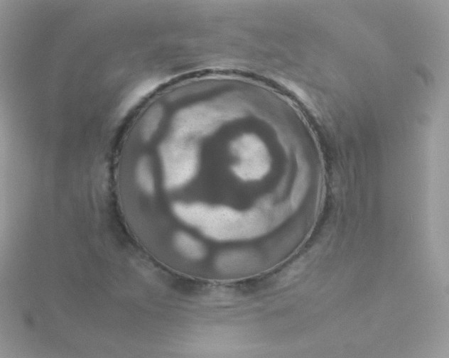 X0000115601263200911241548