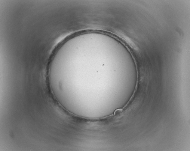 X0000115601264200911241548