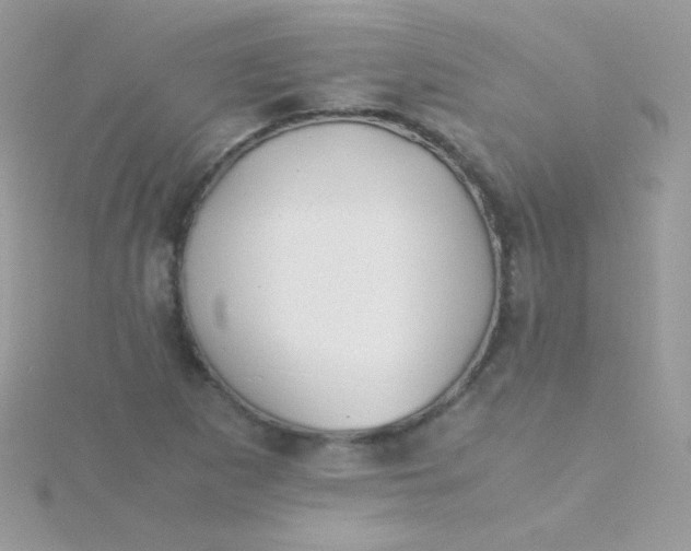 X0000115601265200911241548