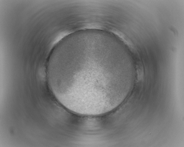 X0000115601266200911241548