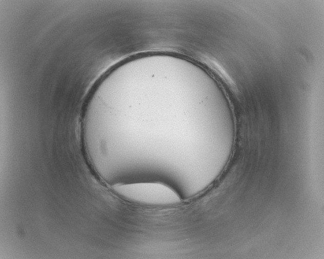 X0000115601268200911241548