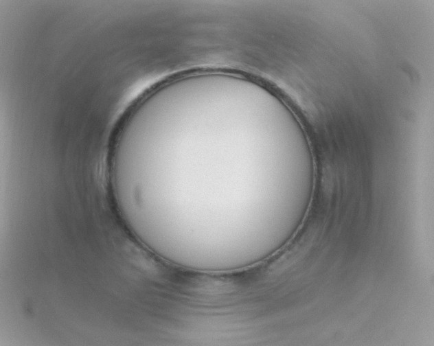 X0000115601270200911241548