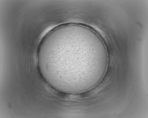 X0000115601271200911241547