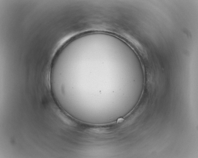 X0000115601272200911241547