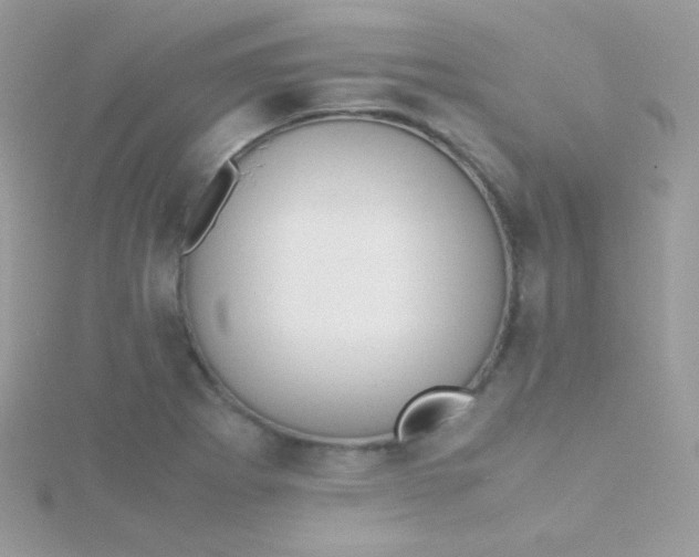 X0000115601273200911241547