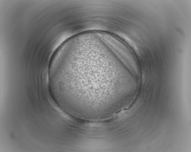 X0000115601274200911241547