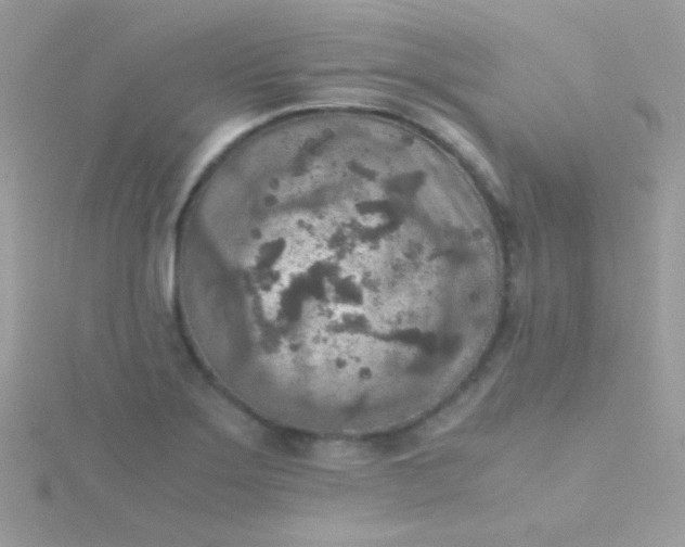 X0000115601275200911241547