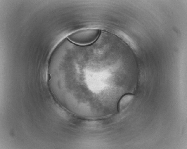 X0000115601276200911241547