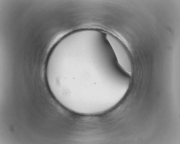 X0000115601277200911241547