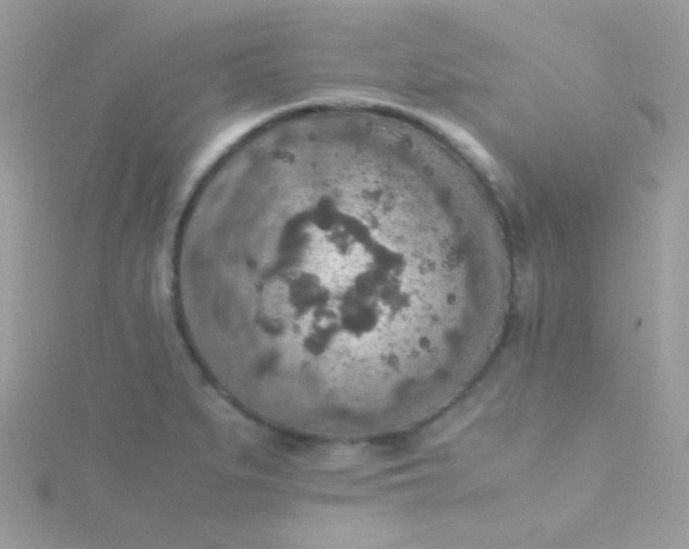 X0000115601279200911241547