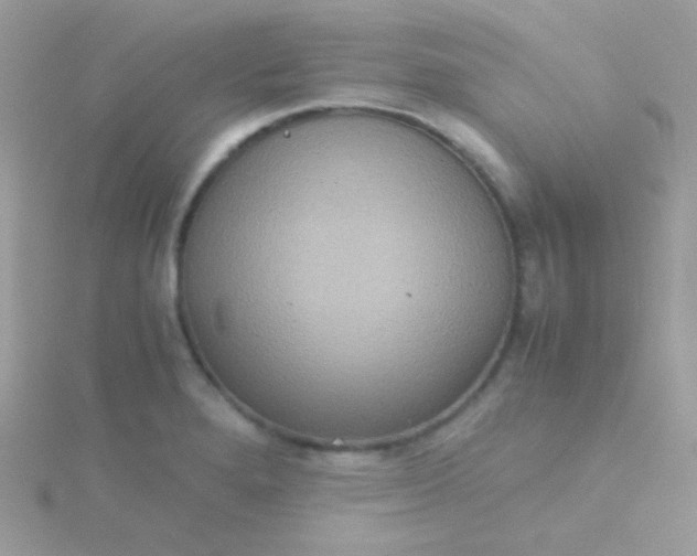 X0000115601280200911241547