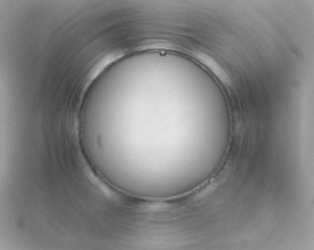 X0000115601282200911241547