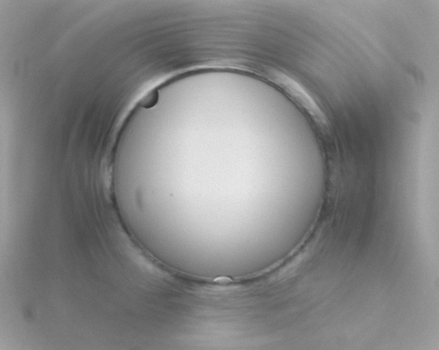 X0000115601284200911241547