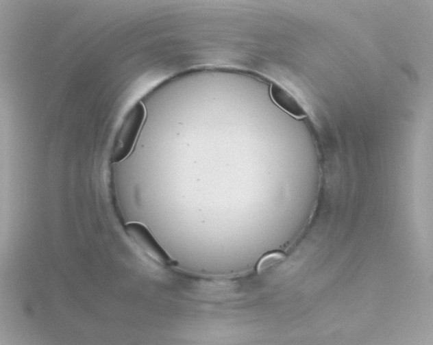 X0000115601285200911241547